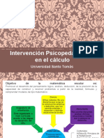 181102626 Intervencion Psicopedagogica en El Calculo (1)