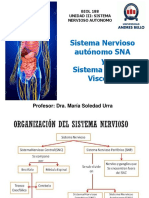 Clase 13 Biol 082 022020 Sistema Nervioso Autónomo