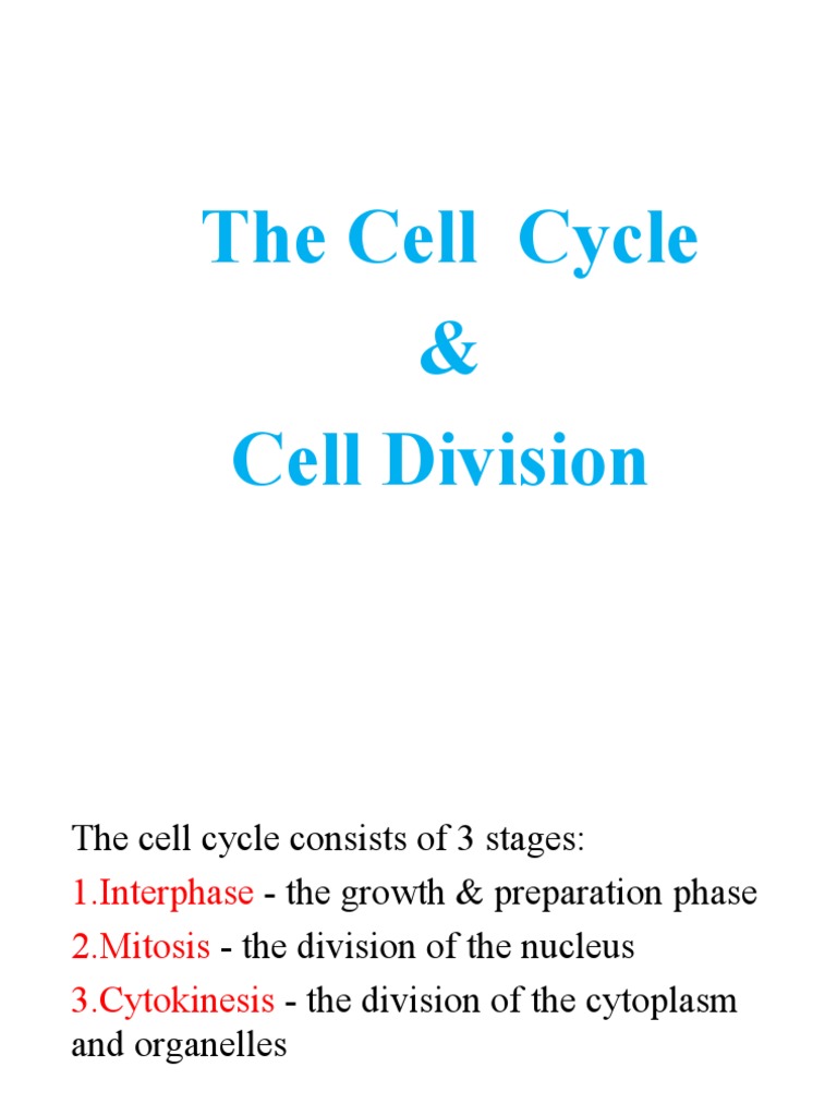 Cell Cycle and Division Overview | PDF | Mitosis | Meiosis