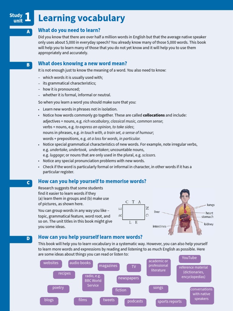 Vocabulary Learning Strategies | PDF | Foreign Language Studies