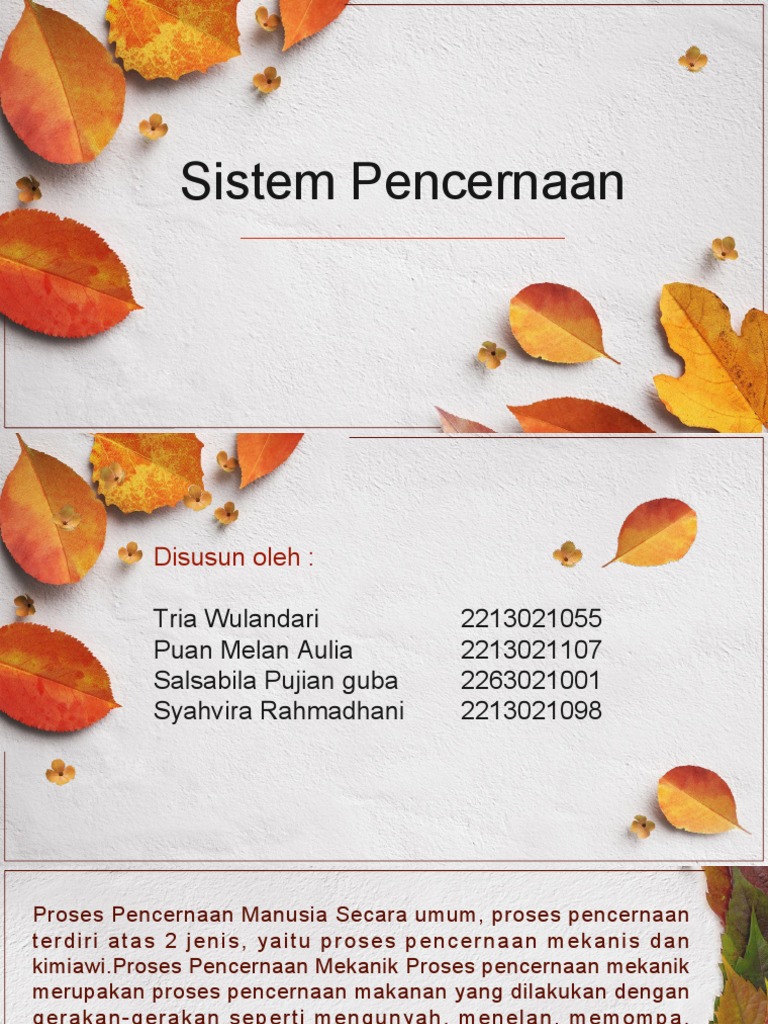Sistem Pencernaan | PDF