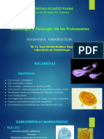 Clase 1a. Morfología y Fisiología de Protozoos Parásitos