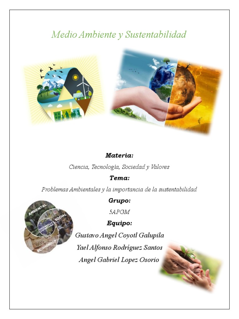 Medio Ambiente y Sustentabilidad | PDF | Entorno natural | Contaminación