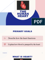 3 The Human Heart
