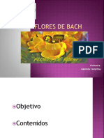 Flores-de-Bach-1 (1) Pame