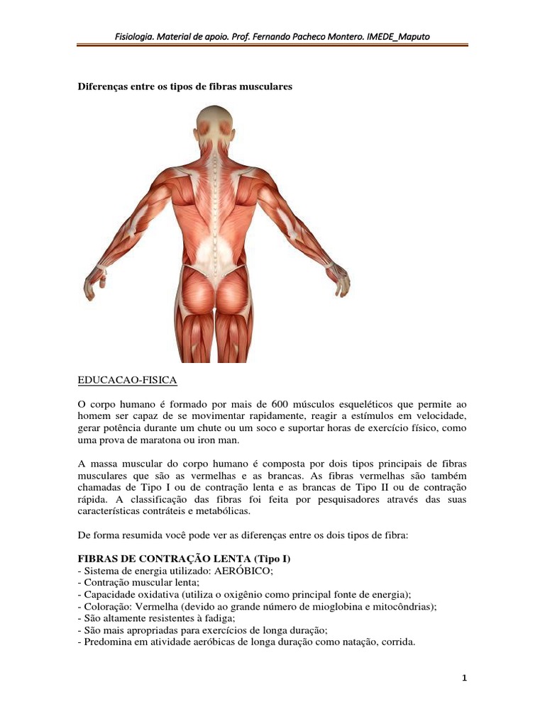 A farsa sobre isolamento muscular e as diferenças entre os Tipos de