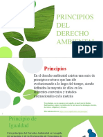 Principios Del Derecho Ambiental