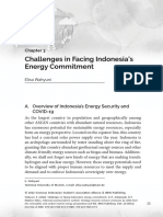 Challenges in Facing Indonesia's Energy Commitment