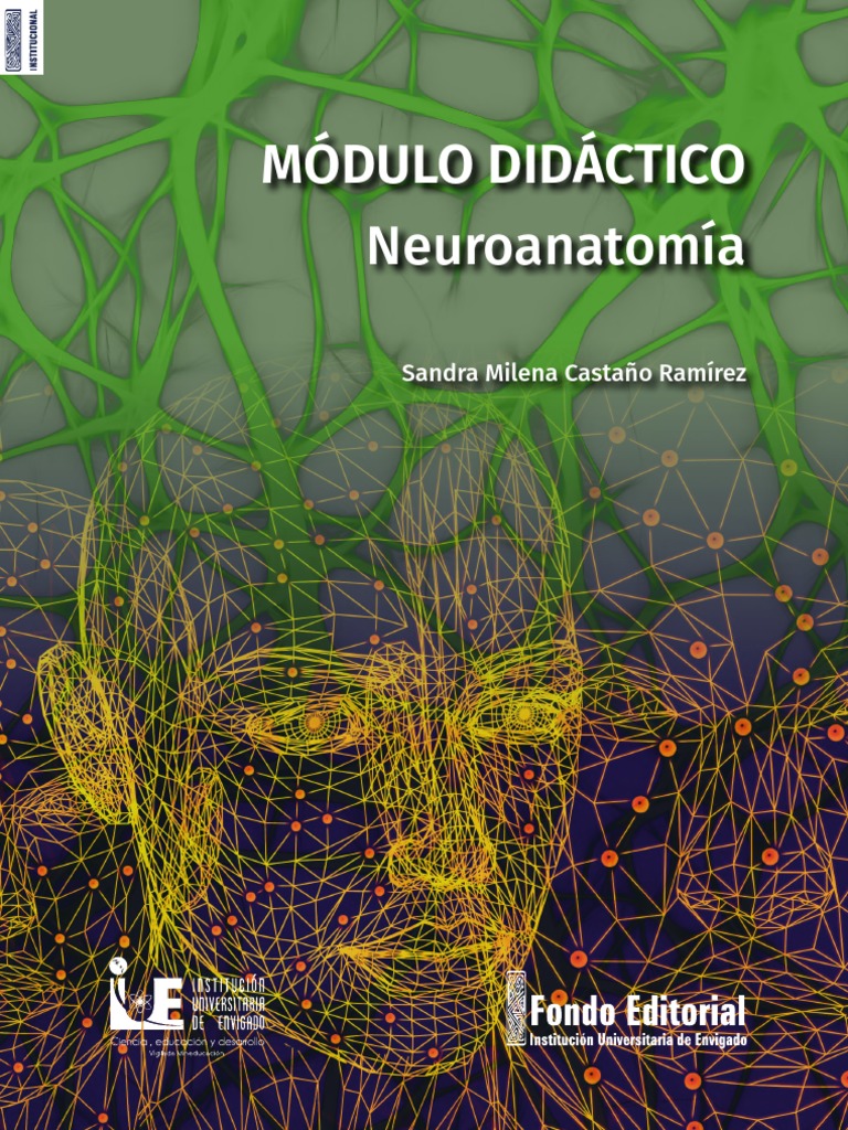 Neuro Anatomia | PDF | Sinapsis | Neurona