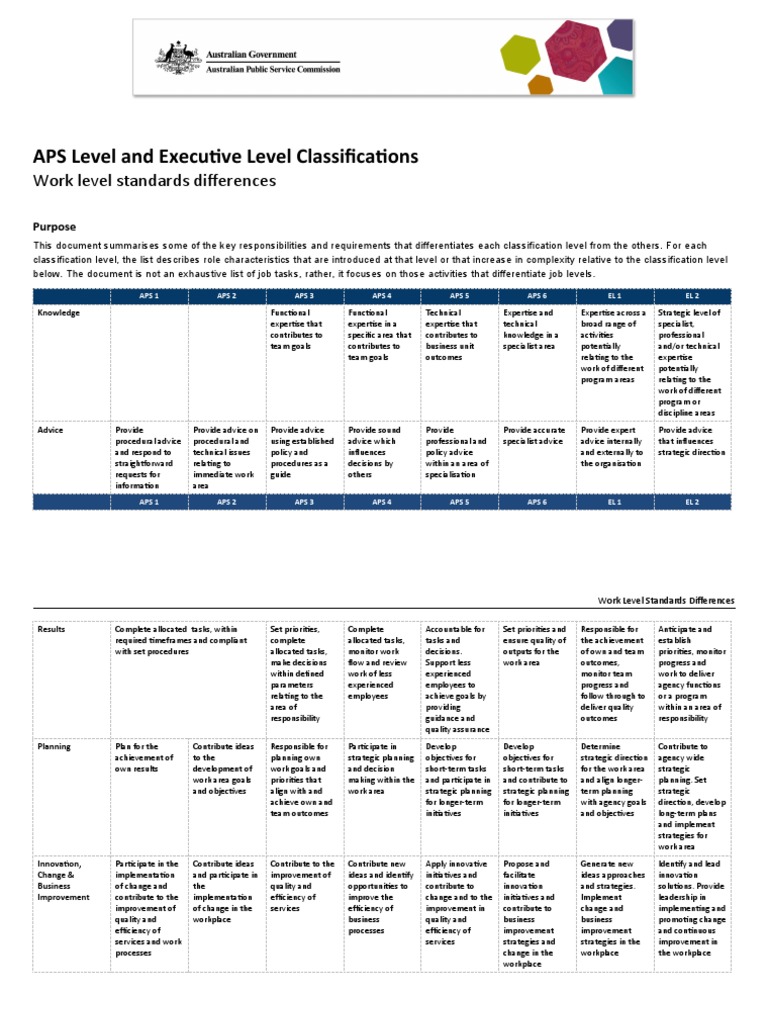 Aps Level and Executive Level Classifications PDF Risk Expert