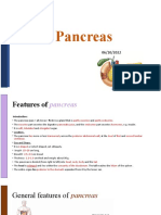 Pancreas