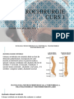 Neurochirurgie Curs 1: Daniel Balasa, MD, PH D