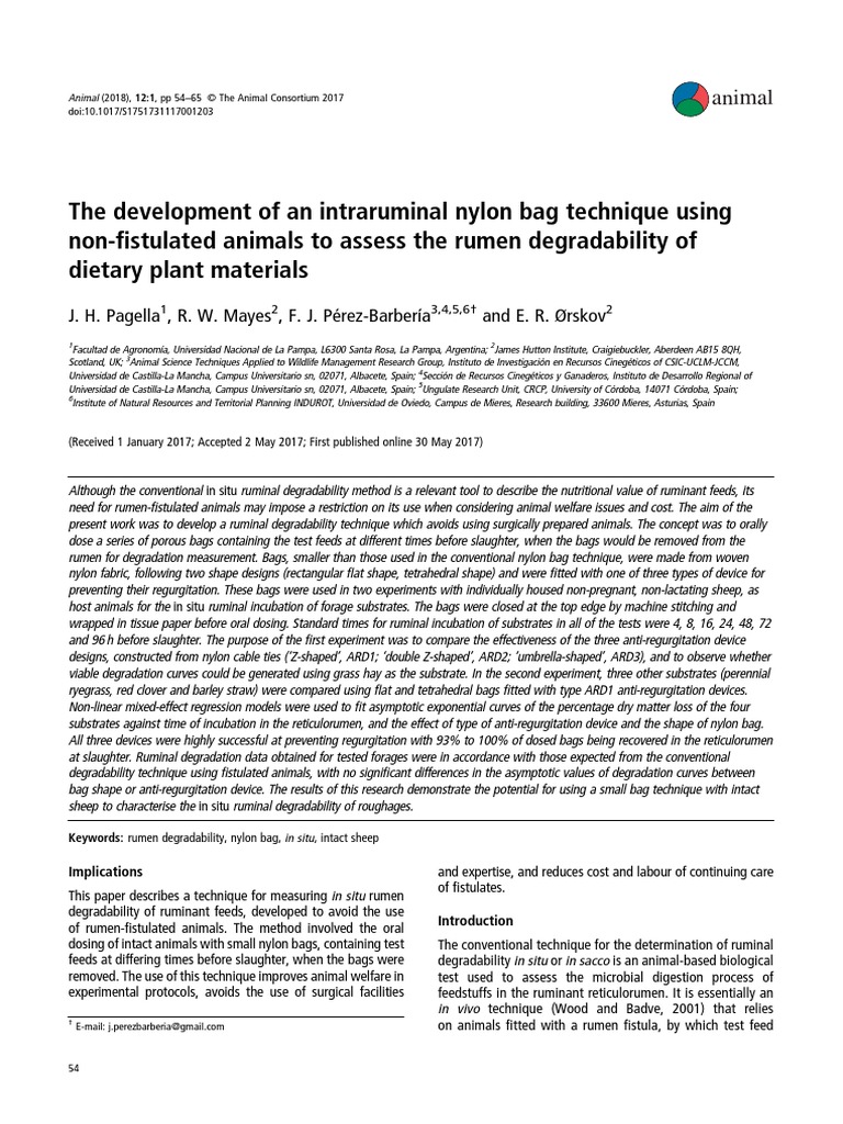 Nylon Bag Technique PDF