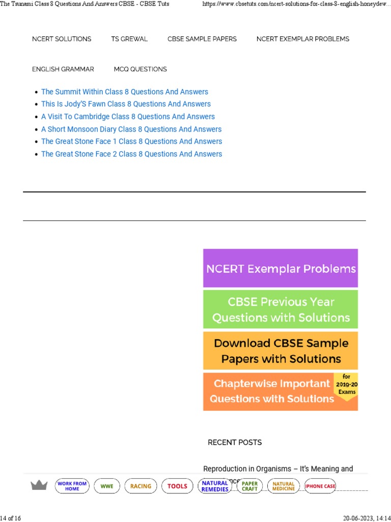 Tsunami 8th cbse summary