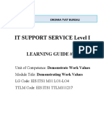 Level I Demonastrate Work Values