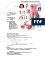 10 Respiratory System