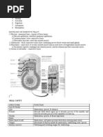 Download 11 Digestive System by api-26587879 SN6541969 doc pdf