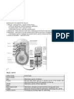 11 Digestive System