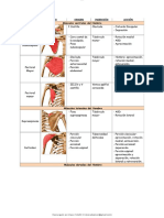 Musculos-Miembro-Superior Cel