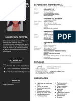 CV Ejecutivo PDF