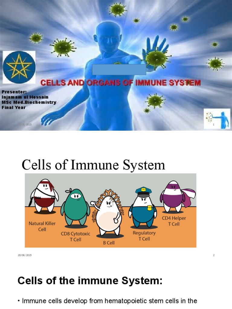 Cells and Organs of Immune System | PDF