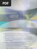 Download The Endocrine System by api-26587879 SN6542085 doc pdf