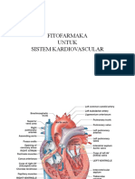 FT Cardiovascular