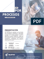 Brochure Gestion Por Procesos 2023 Fii Unmsm