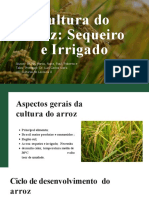 Apresentação Verde e Branca de Conferência Agro