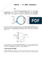 Relatório - Física - Óptica Geométrica - o Olho Humano - 3em - 2021 - Timóteo Altoé Bento Da Silva