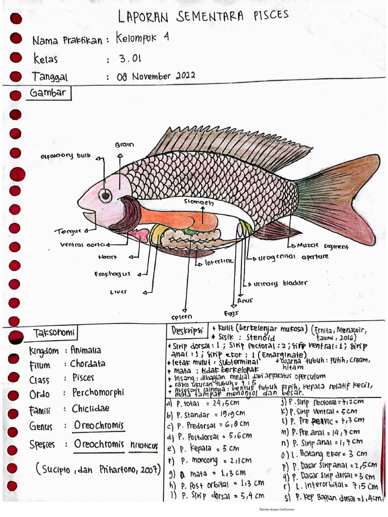 Pisces | PDF