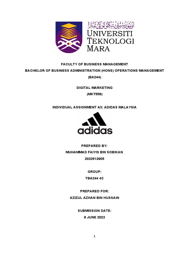 MKT558 Individual Assignment: Adidas Malaysia | PDF | Market ...