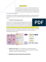 Fibrosis Quistica