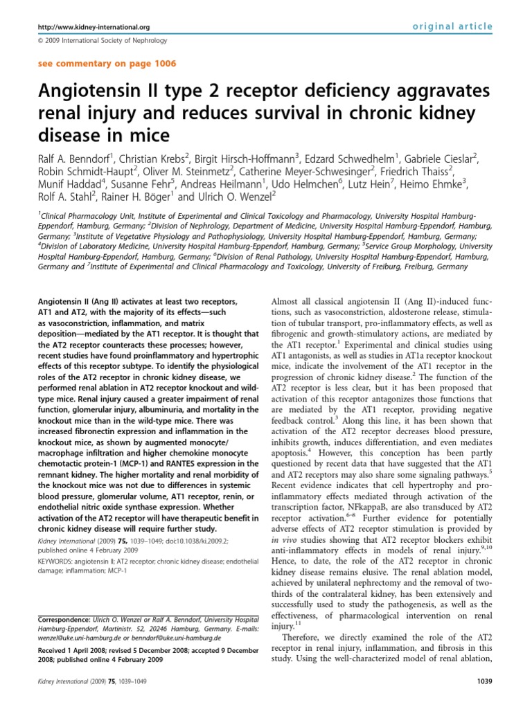 Angiotensin II Type 2 Receptor Deficiency Aggravates Renal Injury and ...