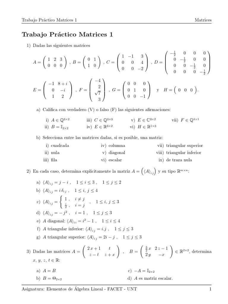 1 - Matrices Practico1 | PDF | Matriz (Matemáticas) | Análisis matemático