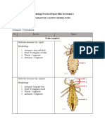 4 INT Hana Adiva Praditri 22295 ParasitesCausingDermatosis