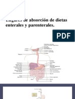 Dietoterapia Nutricion Parenteral y Enteral