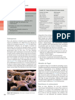 Os Anatomie Et Physiologie Normales Et Pathologique Ross Et Wilson 12 Ed (Glissé (E) S)