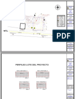 2.7 Plano Topografico (Incluye Perfiles y Tarjeta Profesional)