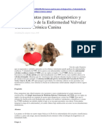 Nuevas Pautas para El Diagnóstico y Tratamiento de La Enfermedad Valvular Cardiaca Crónica Canina