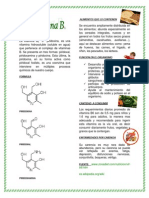 VITAMINA B6 NADINNE 11-2