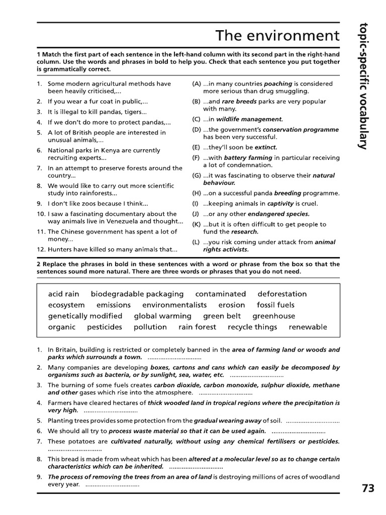 Voc Environment | PDF