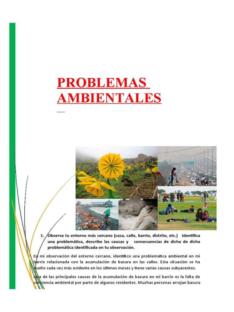 Problemas de Basura en el Barrio | PDF | Ciencia y matemáticas