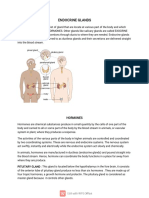 Endocrine Glands