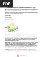 Reproductive System in Plants SS2