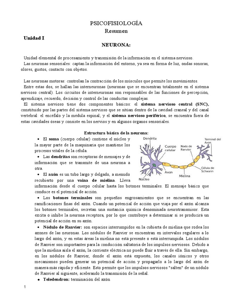 Resumen psicofisiología | PDF | Sinapsis | Potencial de acción