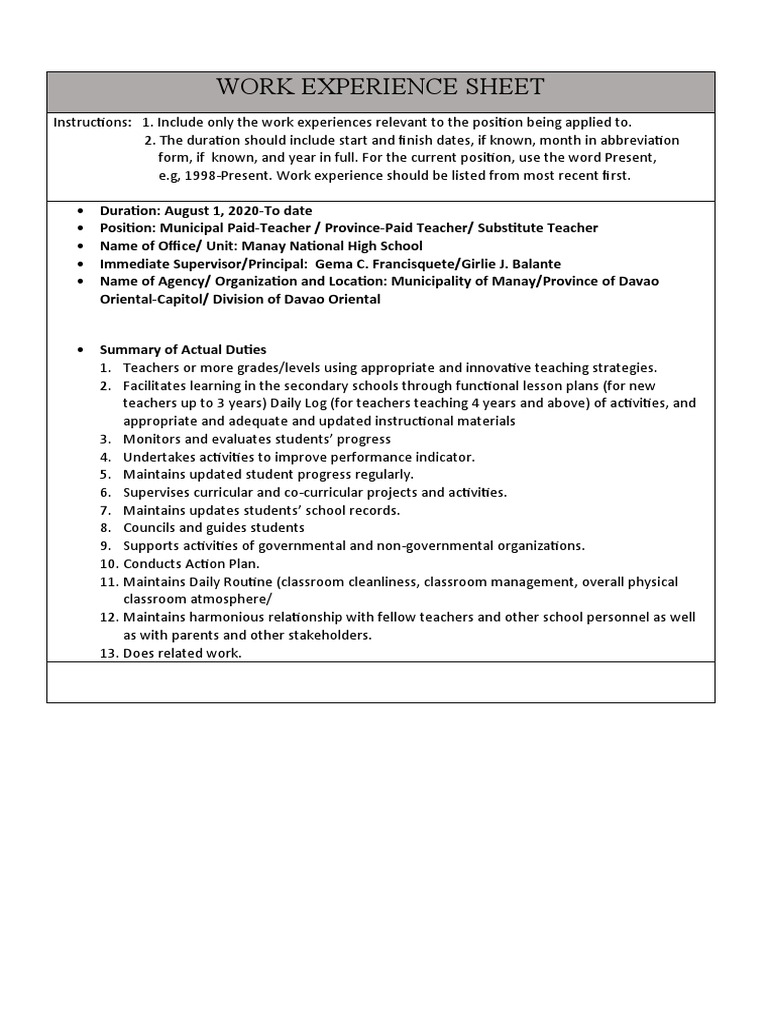 WORK EXPERIENCE SHEET, Word PDF