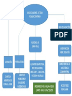 Mapa Conceptual Juicio Oral