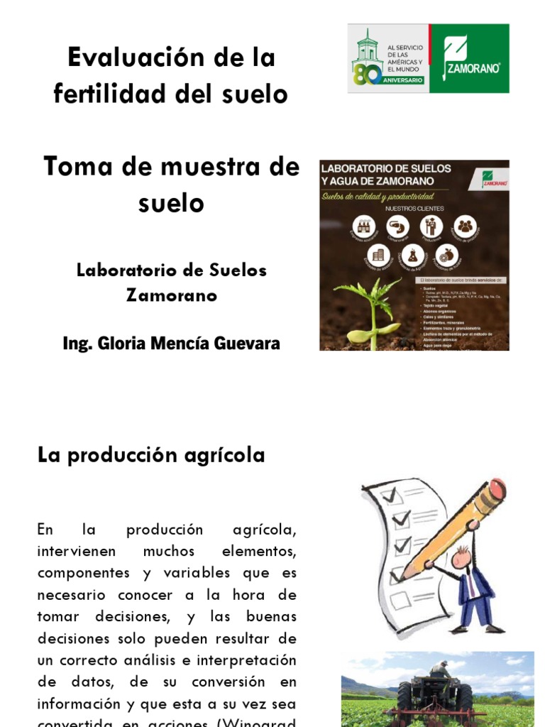 Evaluación de La Fertilidad Del Suelo | PDF | Suelo | Muestreo ...
