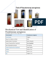 Biochemical Test and Identification of Pseudomonas Aeruginosa